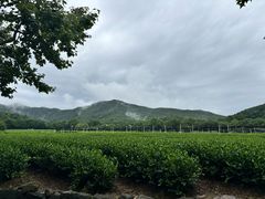 -汉庭(杭州灵隐寺龙井路店)