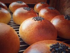 -咖咖熊蛋糕定制·蓝风车动物奶油