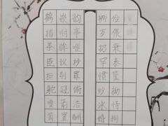 -赵汝飞练字硬笔书法(静安大融城校区)