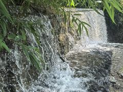 -成飞公园