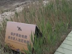 -黑油山景区
