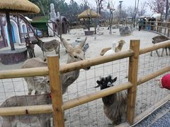 -茅山东方盐湖城景区