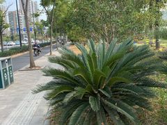 -杭州城北体育公园