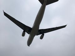 -空港花田景区