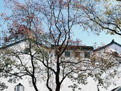 -老门东历史文化街区