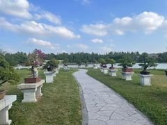 -上海海湾国家森林公园