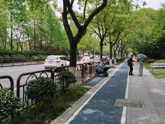 -日出青木