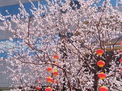-天津意大利风情旅游区