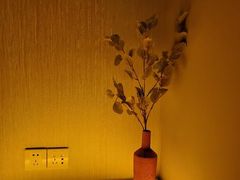-禧瑞 ·丝浴主题·水疗·spa(中山公园店)