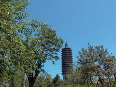 -西海子公园