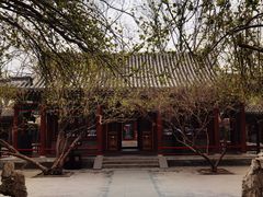 -荣国府