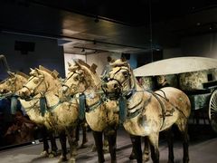 -秦始皇帝陵博物院-丽山园