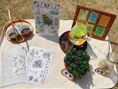 -硅谷蒙学幼儿园