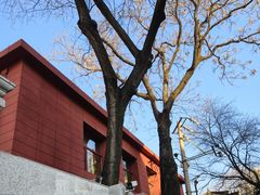 -北京市宏庙小学