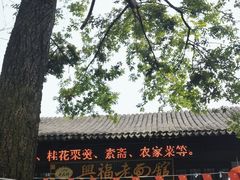 -兴福老面馆(寺路街店)
