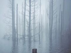 -明月山天沐温泉度假村