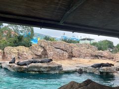 -珠海长隆海洋王国