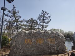 -马家湾湿地公园
