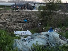 -喜杨洋草莓采摘园
