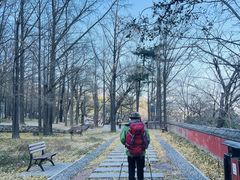 -北京鹫峰国家森林公园