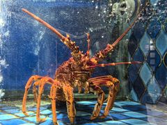 -陶陶居·雅园(凯华国际店)