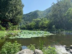 -京北渔家傲