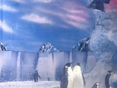 -海合安成都极地海洋公园