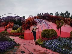 -荷兰花海