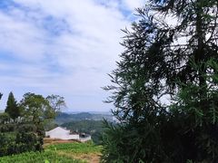 -乌石村
