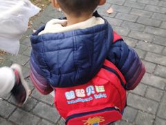 -四叶草托育园(张江园店)