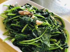 -鲤鱼塘农家山庄