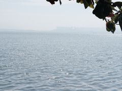 -深圳湾公园(南山区)