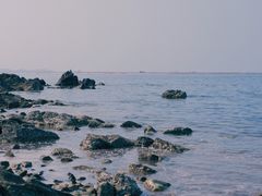 -海岛日记(养马岛店)