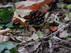 -宁波市保国寺古建筑博物馆