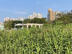 -龙环葡韵住宅式博物馆