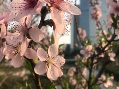 -白塘生态植物园