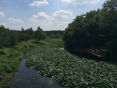 景点-沈阳植物园