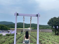 -济州森林小火车生态公园