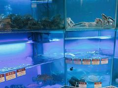 -协成海鲜火锅(海洋花园店)