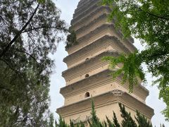 -西安博物院