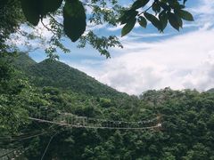 -千岛湖石林