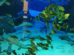 -成都浩海立方海洋公园