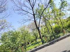 -千佛山风景名胜区