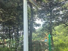 -大芦花风景区