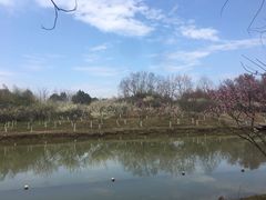 -上海海湾国家森林公园