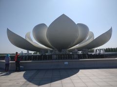 -呼兰河口湿地公园