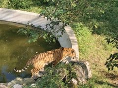 -石家庄市动物园