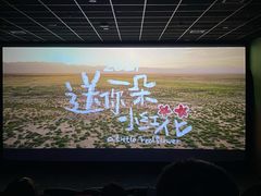 -中影华臣影城VLED(赠4小时停车 西安路店)