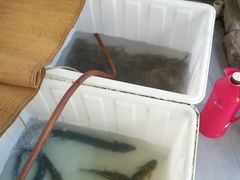-太湖好灶头土菜馆(石公路店)