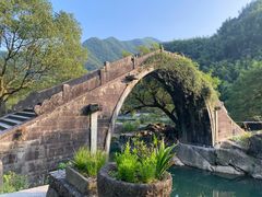 -鹿亭中村